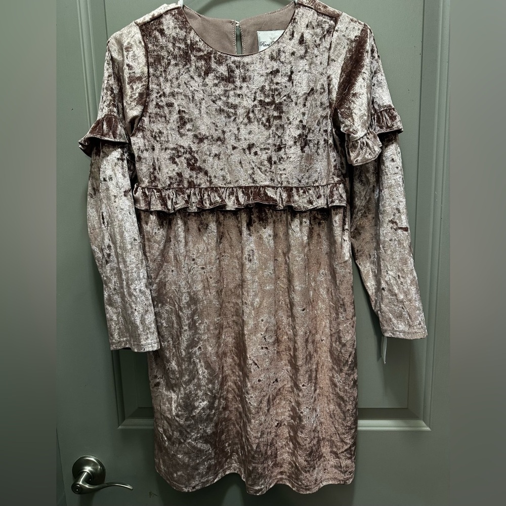 Rare Editions Size 14 Long Sleeves Velvet Dress NWT